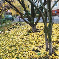 ,,, :: Сергей Тимоновский