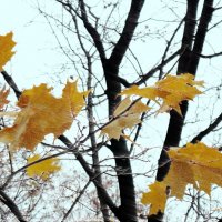 Последние... :: Владимир однакО...