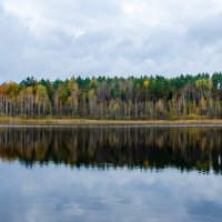 --- :: Галина Ложечникова