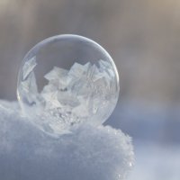 Пузырь :: Андрей Пристяжнюк