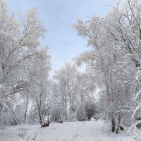 Зима :: Anna Ivanova
