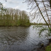 *** :: Николай Гирш *** :: Николай Гирш