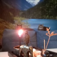 Осенний вечер в пушистой компании. :: Наталья Вязигина