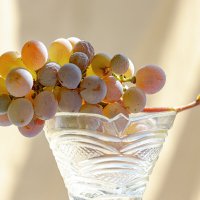 Дары Осени :: Валерий Басыров