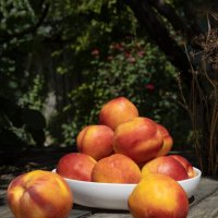 персики без девочки... :: Валерий Басыров