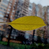 дождь на лобовом стекле :: Артём 