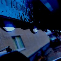 целый человейник в капле на дефлекторе :: Артём 