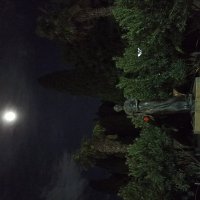 Явление в полнолуние... :: Галина 