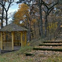 Осень в октябре :: Михаил Столяров