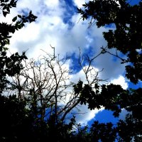 Осень 33 :: Алексей Кузнецов