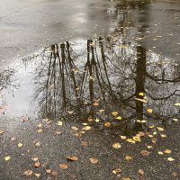 ***отражение в луже*** :: Olga Oskolkova