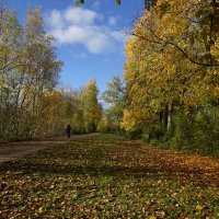 ...— Я ухожу, — сказал Октябрь. — Пора, — шепнул ему Ноябрь,.. :: Галина 