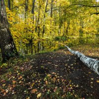 Про Питер :: Владимир Колесников