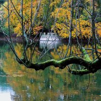 Осень в кадре(серия) :: Владимир Манкер Осень в кадре(серия) :: Владимир Манкер