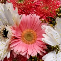 Друзья,пусть ноябрь будет наполнен радостью,улыбками,приятными сюрпризами,сил и вдохновения нам всем :: Нина Андронова