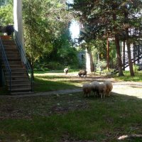 Абхазия :: Андрей Л. В.