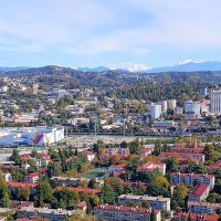 ПАНОРАМА СОЧИ :: Tata Wolf