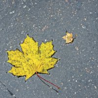 Беспощадная осень :: Валерий Иванович