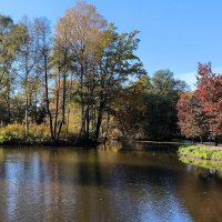 Краски октября. :: Ольга 