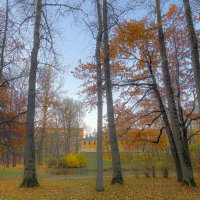 Парк Новознаменка :: Алексей Чуркин