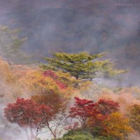 Осень :: Ксения N