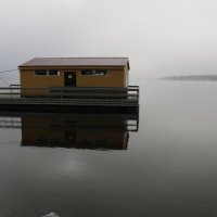 В осеннем тумане :: Ольга В осеннем тумане :: Ольга