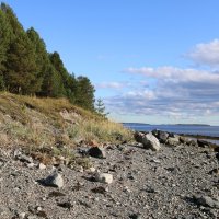 Осенняя литораль :: Ольга 