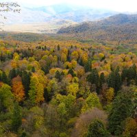 ** :: Юрий Словецкий