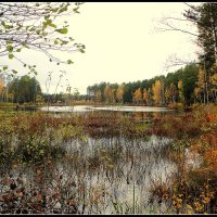 *** :: Aleksandr Gal