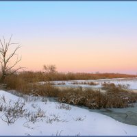 Утро. :: Александр 