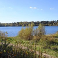 Побережье лесного озера :: Рита Симонова Побережье лесного озера :: Рита Симонова