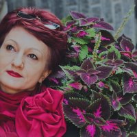 Воздвиженка :: Лана 