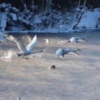 На взлёт... :: владимир 