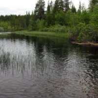 Речка  Сейто. :: Галина Полина