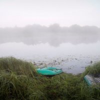 Утро туманное. :: Сергей Рожков
