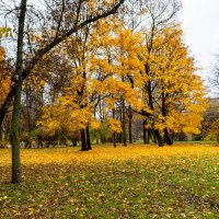 последние краски осени :: Дмитрий Лупандин