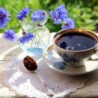 Натюрморт! :: жанна нечаева Натюрморт! :: жанна нечаева