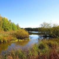 Переход их лета в осень :: Андрей Снегерёв