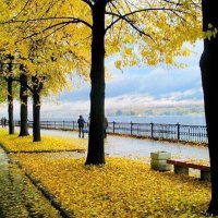 Осень. :: Михаил Свиденцов