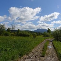 По дороге... :: Николай Гирш