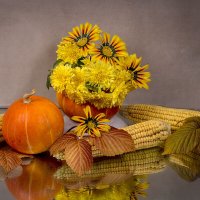 Осенний сюжет :: Людмила Павловна Крышковец