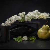 Натюрморт со спиреей и грушей. :: Лилия *
