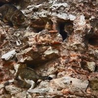 Стамбул - 39 :: Артём Кузнецов