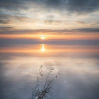 Холодный рассвет :: Ирина 