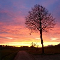 sunset :: Elena Wymann