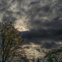 Осеннее небо :: Наталья Rosenwasser Осеннее небо :: Наталья Rosenwasser