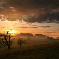 sunset :: Elena Wymann