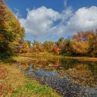 Природный парк Волго-Ахтубинская пойма. :: Дина Евсеева