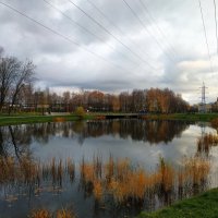 "Ноябрь уж наступил", - мог бы сказать Поэт :: Андрей Лукьянов