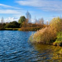 Природа Смоленщины в конце октября. :: Милешкин Владимир Алексеевич 